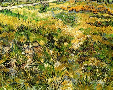  Hospital Canvas - Meadow in the Garden of Saint Paul Hospital Vincent van Gogh